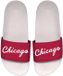 ISlide Chicago Bulls slippers Two Tone
