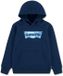 Levi's Kids Skate Park Batwing Hoodie Blauw 14 Years Jongen