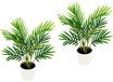 Flair Flower Phoenix Palm tropische kunstplant mini kleine areca design plant met kunststof pot, groene plant, arekapalm, kunstpalm, kamerpalm voor kantoor, huis, woonkamer, hotel, 30 cm
