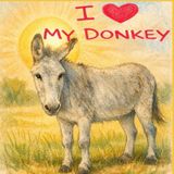 I Angie Cservak I Love My Donkey Paperback