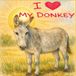 I Angie Cservak I Love My Donkey Paperback