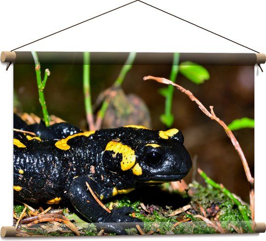 Merkloos / Sans marque Textielposter - Vuur Salamander - 60x40 cm