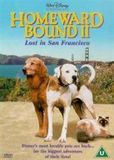 Homeward The Disney Store Limited Homeward Bound 2 DVD