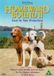 Homeward The Disney Store Limited Homeward Bound 2 DVD
