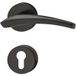Häfele Garniture de poignée de porte LDH 3310 Poignée de porte noir mat, PZ - cylindre profilé
