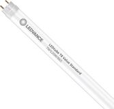 Ledvance - LED Buis T8 Value (EM/Mains) Standard Output 7W 850lm - 865 Daglicht | 72cm - Vervangt 16W