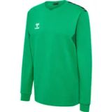 Hummel Hmlauthentic Co Training Sweat 220010