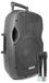 Vonyx AP1200PA Zwart 600 W