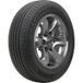 Dunlop Grandtrek PT30 ( 225/60 R18 100H BLK )