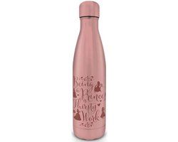 Pyramid International Disney Princess - "Thirsty Work" metalen drinkfles