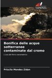 Bonifica OmniScriptum SRL Bonifica delle acque sotterranee contaminate dal cromo