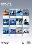 CalendarsRUs Orca A3 Kalender 2027