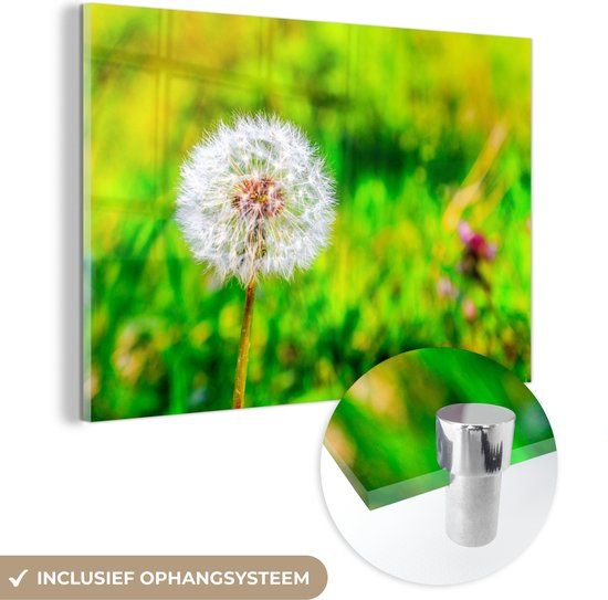 MuchoWow® Glass Painting 90x60 cm - Acrylic Glass Painting - Dandelion - Grass Field - Flower - Photo on Glass - Paintings