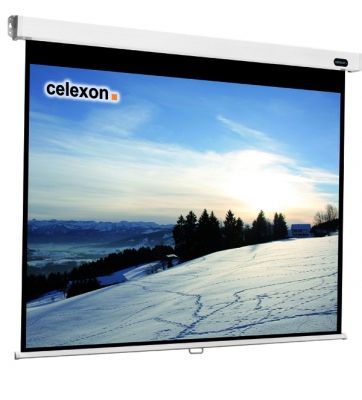 Celexon Rollo Professional - Projectiescherm - 220 x 165 cm - 4:3 - Zwart/Wit