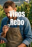 Vinos Rebo