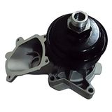 MAGNETI MARELLI Wasserpumpe 352316170061