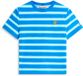 Tommy Hilfiger Femme T-shirt Coton/Élasthanne Manches Courtes XL Printemps/Été 2026