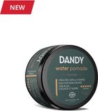 DANDY WATER POMADE 100ml
