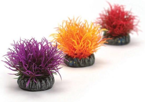 biOrb decobal set paars/oranje/rood