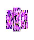 Homemania Wandafbeelding, 3 stuks, natuur, voor woonkamer, slaapkamer, meerkleurig, 57 x 0,3 x 60 cm, HM203MDF37, MDF