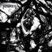 SHRAPNELS Music Video Distributors, Inc. Shrapnels of a Panic Spiral