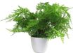 Non-branded Realistic Artificial Fern Plant - Green