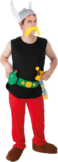 CHAKS Asterix en Obelix™ Asterix kostuum voor volwassenen - Polyester - EAN: 3661652042649