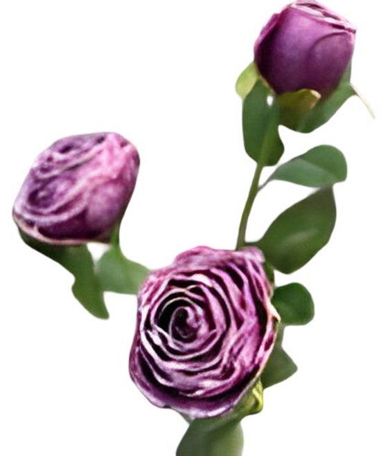 Buitengewoon Boet Buitengewoon de Boet Roze 3 knoopjes violet