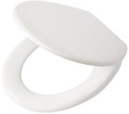 Tiger Aiden Toiletbril met Deksel Duroplast Wit