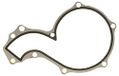 Gasket, Icecat Gasket, water pump