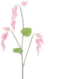 Erutan avon Dicentra spray pink 96 cm