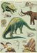 Cavallini & Co Poster Dinosaurussen - Vintage Schoolplaat Dino's - Multi Color - Papier