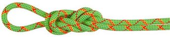 Mammut Alpine Core Protect Dry 8 Mm Touw Groen 70 m