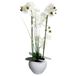 Atmosphera Orchidee bloemen kunstplant in witte bloempot - witte bloemen - H53 cm