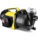 TROTEC TGP 1005 E Tuinpomp met filter 1000 Watt 3.300 l/h