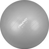 Avento Fitness/Gymbal - Ø 65 cm - Zilver
