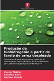 Produção Edicoes Nosso Conhecimento Produção de biohidrogénio a partir de farelo de arroz desoleado: Otimização de parâmetros para a produção de biohidrogénio a partir de farelo de arroz ... por Clostridium acetobutylicum NCIM 2877 Paperback