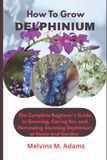 How Libri GmbH How to Grow Delphinium Flower for Beginners