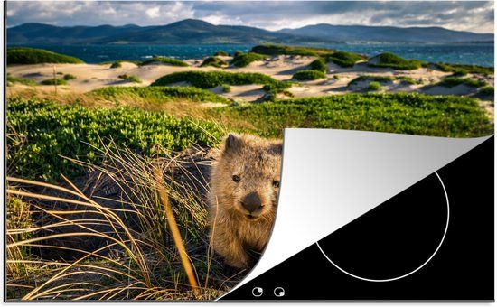 KitchenYeah® Inductie beschermer 77x51 cm - Wombat op Lesueur Point in Nationaal park Maria Island in Tasmanië - Inductiebeschermer voor inductiekookplaat