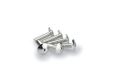 Puig 0689P verpakking met 6 schroeven, gewelfd, M6, 25 mm, zilverkleurig