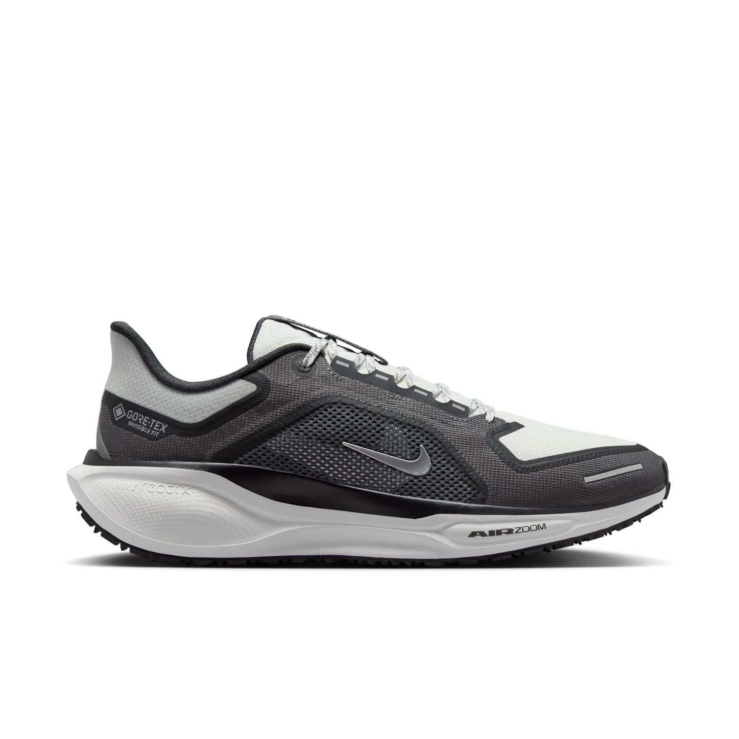 Nike Pegasus 41 Gore-tex