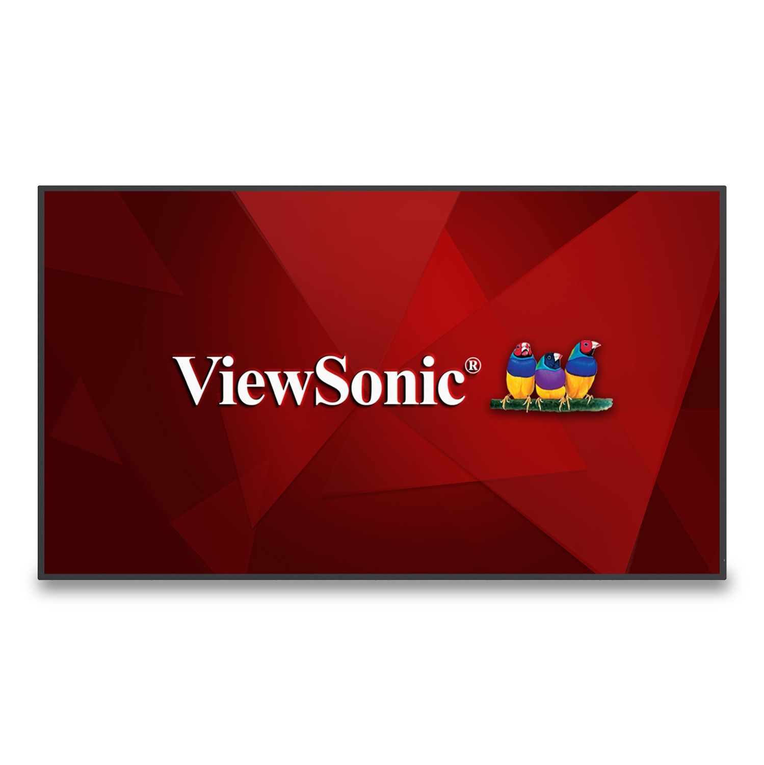 Viewsonic CDE6530 65 inch Presentatiedisplay - Zwart
