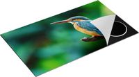 Chefcare Inductie Beschermer Blauw Oranje IJsvogel op een Tak - 90x55 cm