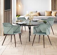 HOMYLIN Set van 2 Scandinavische eetkamerstoelen van fluweel met metalen poten, eetstoel, Engineered Wood, lichtgroen, 54 x 53 x 75 cm