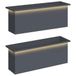 vidaXL Jardinière de jardin avec LED 2 pc Anthracite 30 x 100 x 30 cm