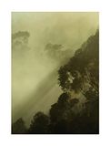 Komar Muurafbeelding | Golden Light | Poster, afbeelding, woonkamer, slaapkamer, decoratie, kunstdruk | zonder lijst | PSH100-30x40 | grootte: 30 x 40 cm (breedte x hoogte)