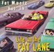 Sonic Rendezvous Fat Wreck Chords Various (Fat Music Iv) - Life In The Fat Lane