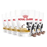 Royal Canin Chien Urinary Snacks 6x230g
