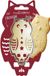 ScrapCooking Koekjesuitsteker & Embosser Uil