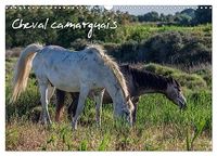 Cheval Calvendo Cheval camarguais (Calendrier mural 2027 DIN A3 vertical)